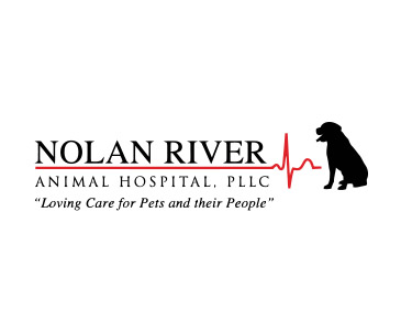 Sagentic Web Design designed the website https://www.nranimalhospital.com for Nolan River Animal Hospital