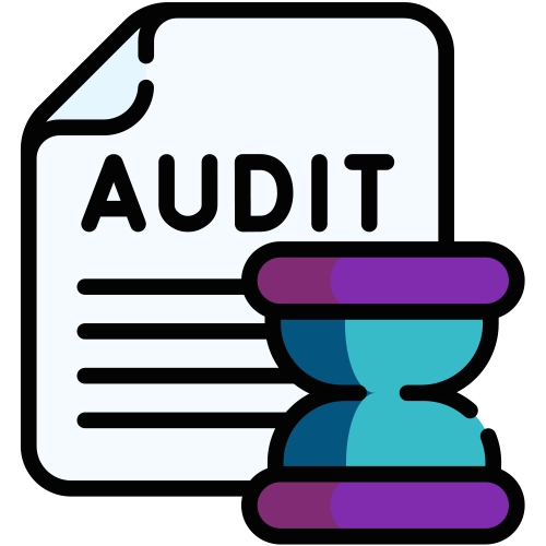 Audit Icon