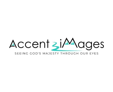 Sagentic Web Design designed the website https://www.accent-images.com/ for Accent-iMages